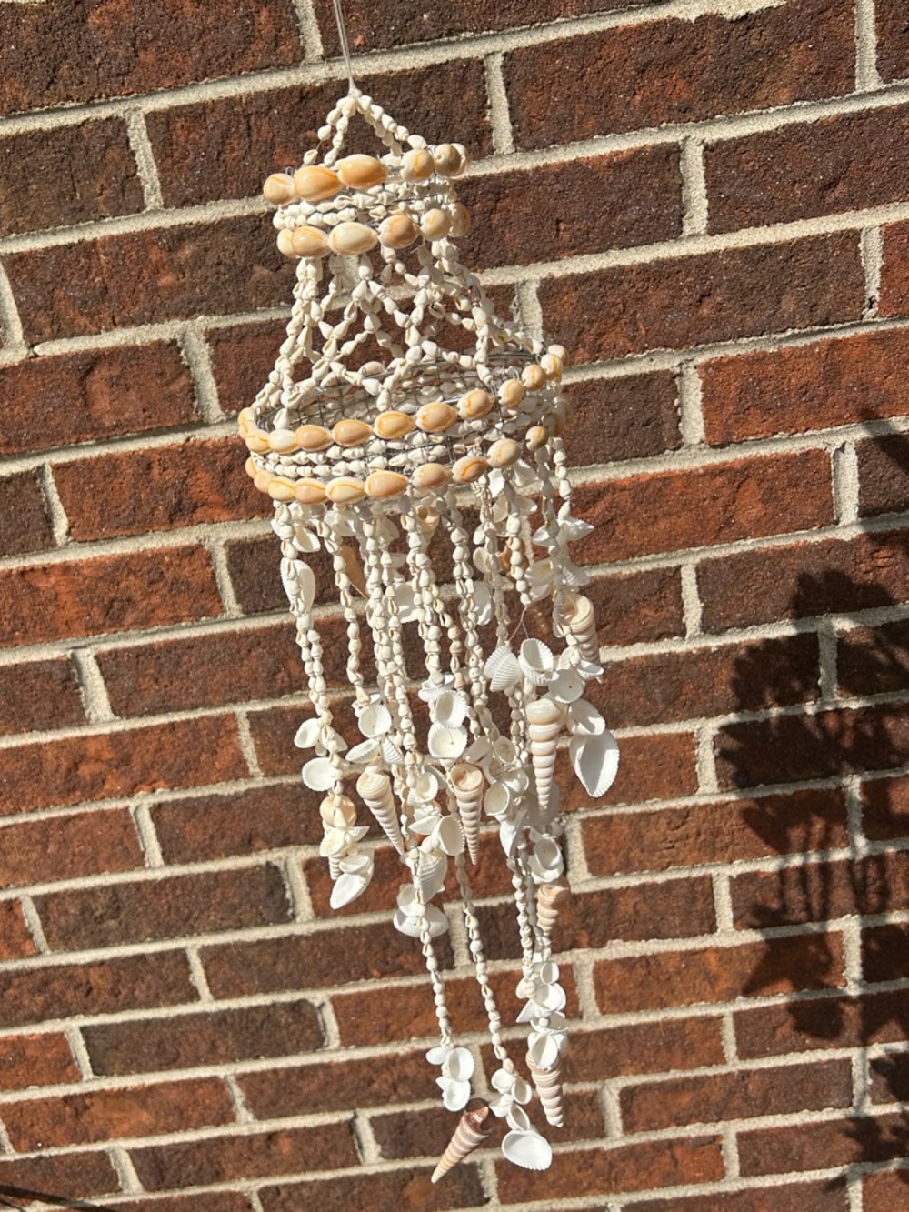 Shell chandelier - Picture 8 of 16
